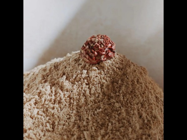 Dried Amanita Muscaria powder