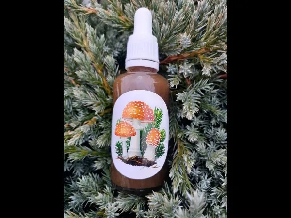 Fly agaric / Amanita Muscaria Tincture