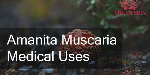 What are Amanita Muscaria's medical uses?